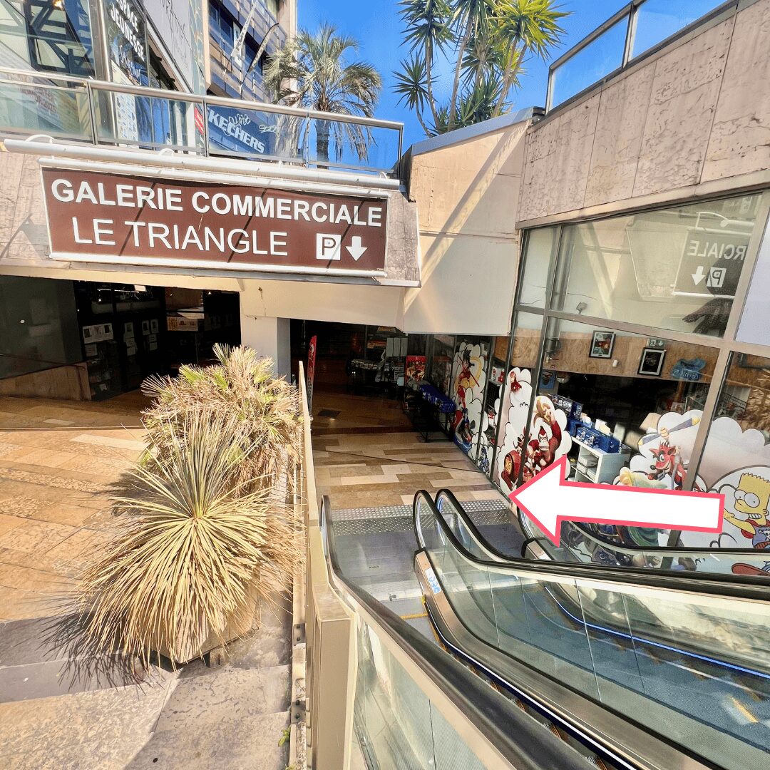 Galerie Le Triangle Montpellier